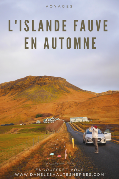 dans les hautes herbes voyages