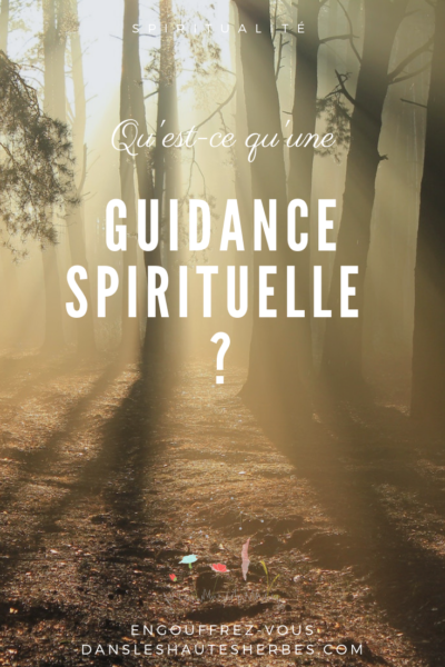 guidance voyance