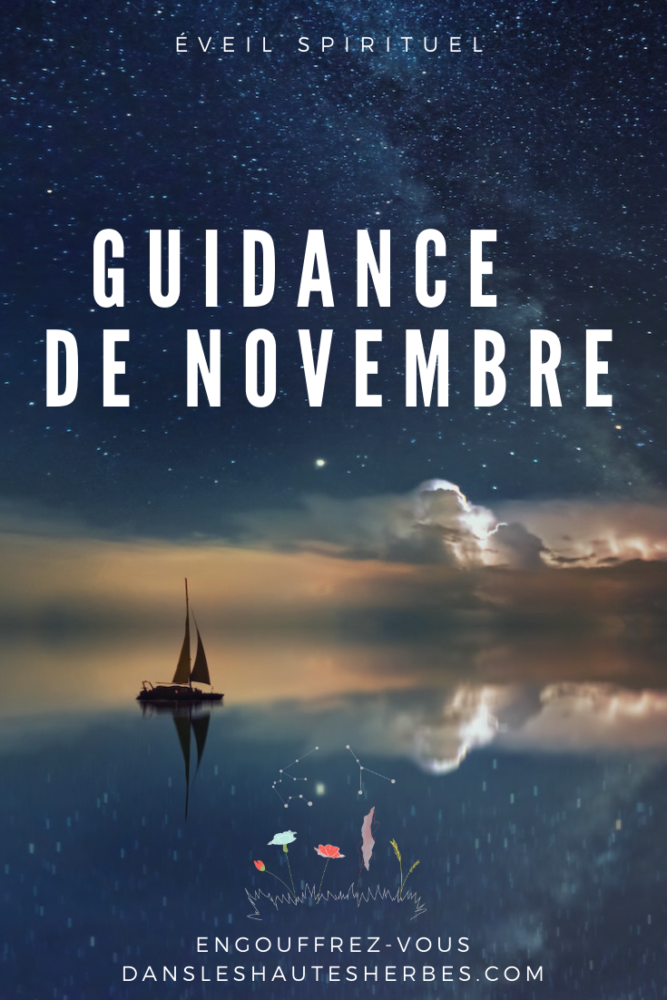 GUIDANCE NOVEMBRE