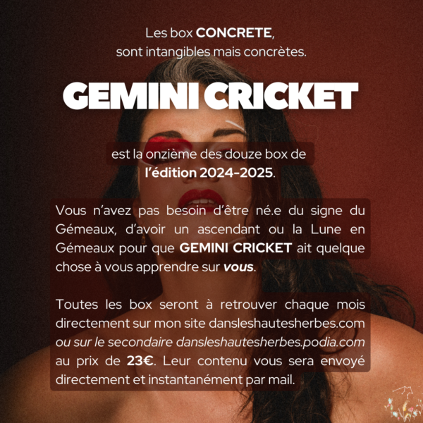 GEMINI CRICKET – Image 3